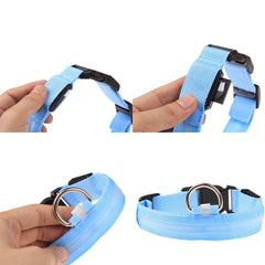 Waterproof Adjustable LED Dog Collar