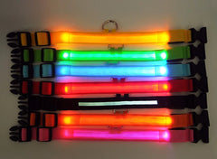 Waterproof Adjustable LED Dog Collar