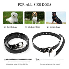 Rechargeable  Dog Training Collar