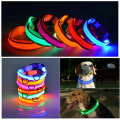 Waterproof Adjustable LED Dog Collar