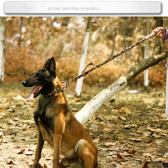 Heavy Duty Tactical Dog Collar