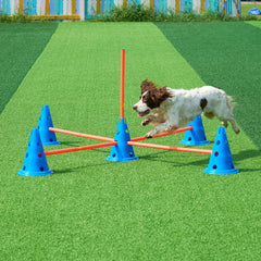 Dog Agility Hurdle & Obstacle Cone Kit