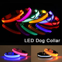 Waterproof Adjustable LED Dog Collar