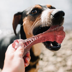 Heavy Duty Bone-Shaped Chew Toy