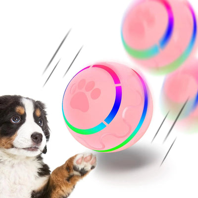 Motion Activated Interactive Dog Ball