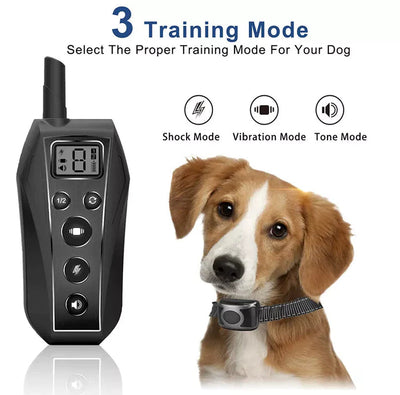 Remote Dog Training Collar