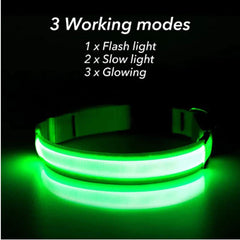 Waterproof Adjustable LED Dog Collar