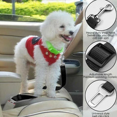 Adjustable Dog Car Seatbelt (2 pack)