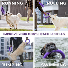 Purple Puller Dog Ring (Standard)