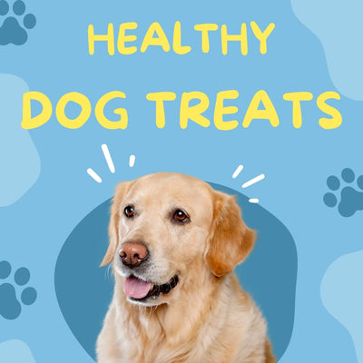 35 Healthy Dog Treat Recipes
