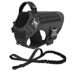 Tactical Dog Harness & Leash