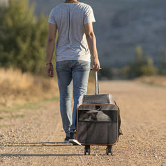 Airline Approved Dog Carrier