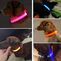 Waterproof Adjustable LED Dog Collar