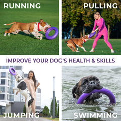 Purple Puller Dog Ring (Maxi)