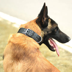 Heavy Duty Tactical Dog Collar