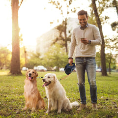 Ergonomic Retractable Double Dog Leash