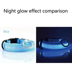 Waterproof Adjustable LED Dog Collar