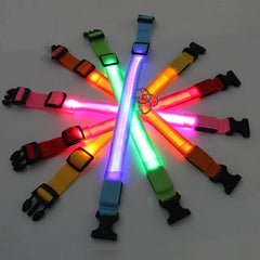 Waterproof Adjustable LED Dog Collar