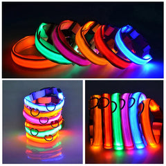 Waterproof Adjustable LED Dog Collar