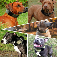 Heavy Duty Tactical Dog Collar