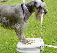 Pedal Activated Dog Water Fountain