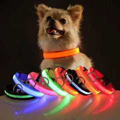 Waterproof Adjustable LED Dog Collar