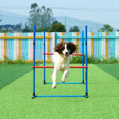 Premium 7 Piece Dog Agility Training Set