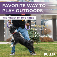 Purple Puller Dog Ring (MIDI)