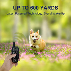 Remote Dog Training Collar