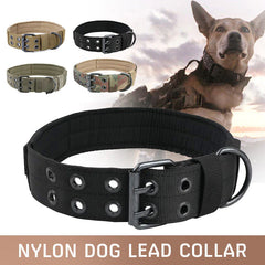 Heavy Duty Tactical Dog Collar